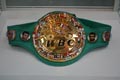 Junior Witter's WBC  Belt - click on image to enlarge  